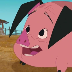 Photo de Ollie, le Porc