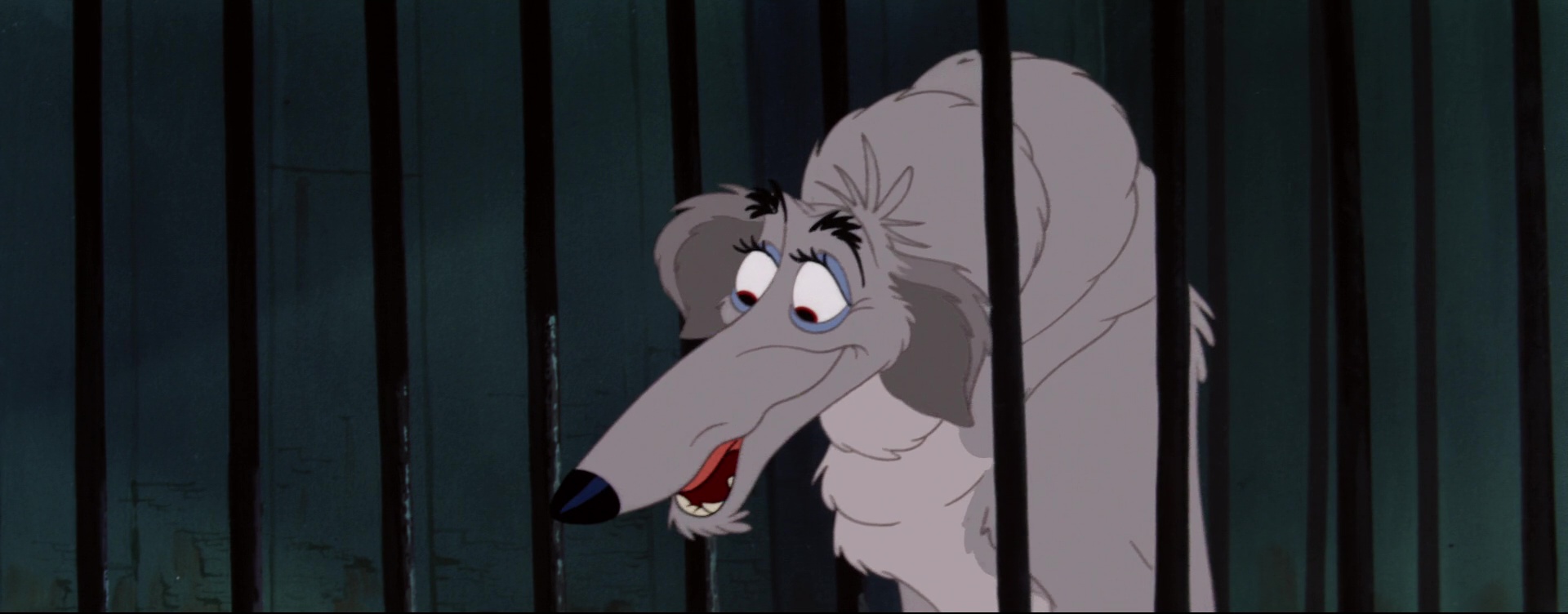 Photo de Boris, le lévrier russe