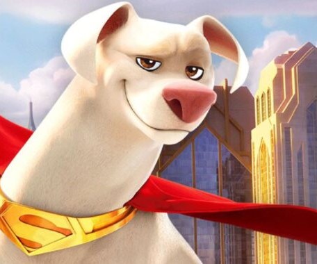 Photo de Krypto, le chien de Superman