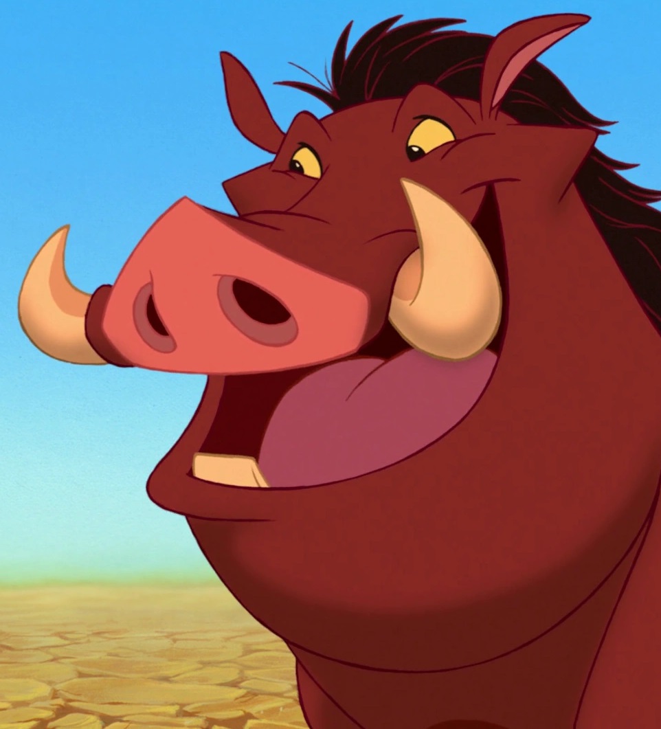 Photo de Pumbaa