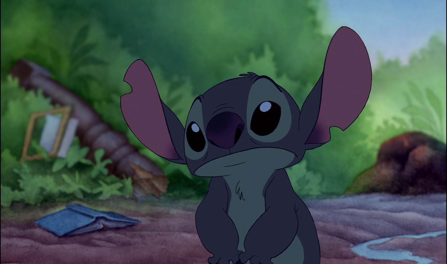 Stitch