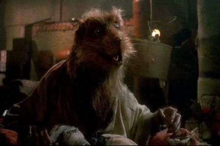 Splinter
